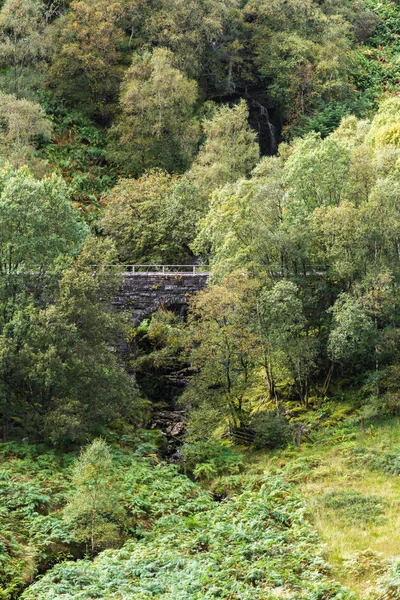 Viaduct in the Scottish Highlands — Stock Photo, Image