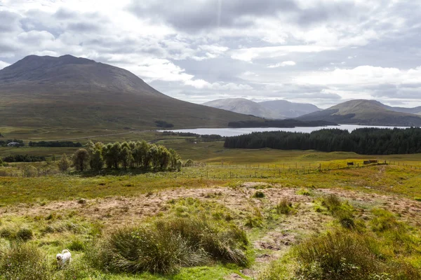 Loch Tulla View point, Scotland — Stock Photo, Image