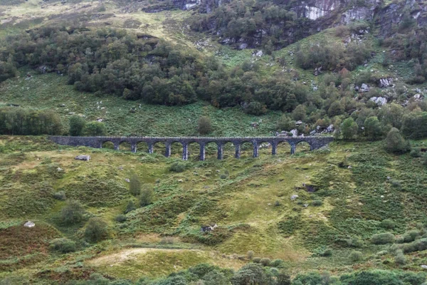 Viaduct in the Scottish Highlands — Stock Photo, Image