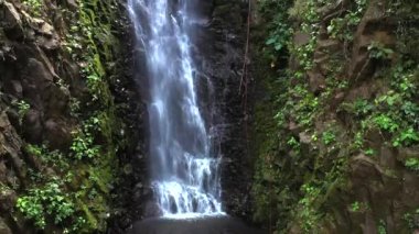 Adventure tourism in tropical Costa Rica while rappelling down a beautiful waterfall  deep in the southern mountains of the country