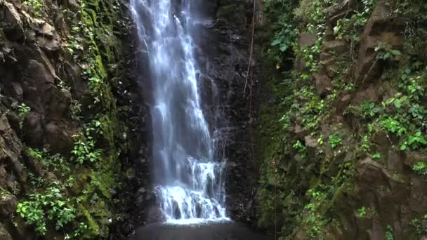 Abenteuertourismus Tropischen Costa Rica Beim Abseilen Von Einem Wunderschönen Wasserfall — Stockvideo