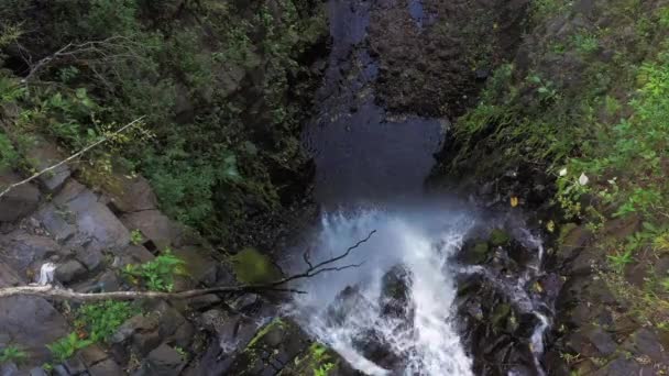 Beautiful Waterfall Costa Rica Mountains Deep Rainforest — Stock Video