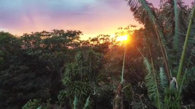 Beautiful Sunset in tropical Costa Rica from a rural area just outside of the central valley with fresh bananas and large agricultural areas on the fertile lands