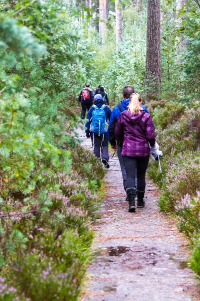 Caminando en las tierras altas escocesas — Foto de Stock