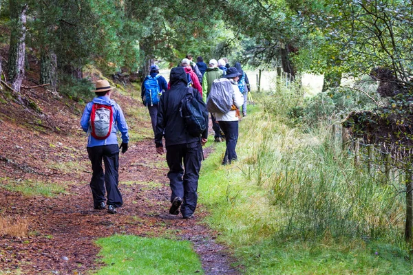 Spacerując po szkockich wyżynach — Zdjęcie stockowe