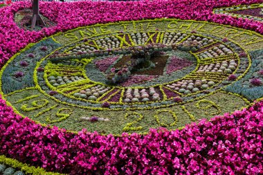Çocukları kurtar, Edinburgh.