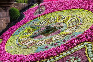 Çocukları kurtar, Edinburgh.