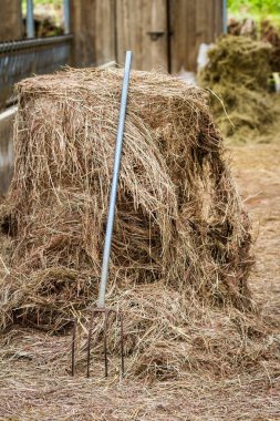Ağıldaki saman ve tırmık, sığırları beslemek ve toprak örtüsü için kullanılır.