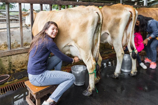 靠近一个用手挤奶奶牛的女人 — 图库照片
