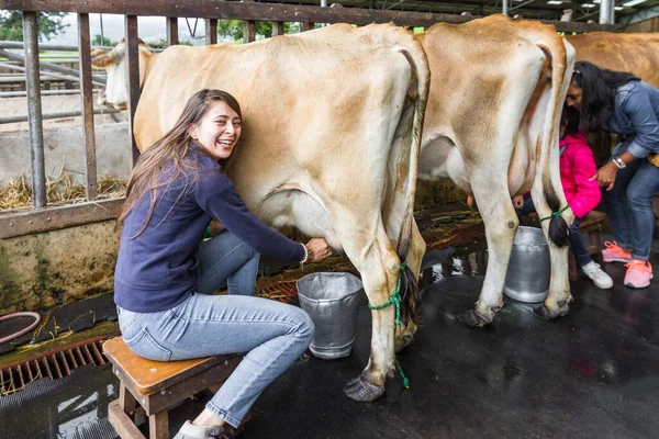 Primo Piano Una Donna Che Munge Una Mucca Mano — Foto Stock