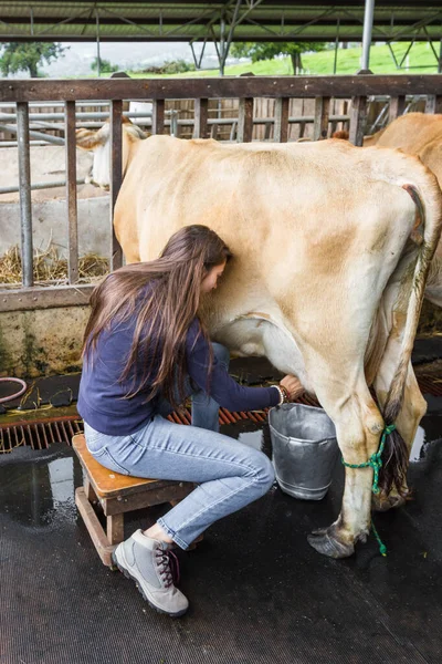 Close Uma Mulher Ordenhando Uma Vaca Mão — Fotografia de Stock