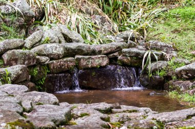 Kartaca Kosta Rika 'daki bu antik Guayabo medeniyetine taze kaynak suyu sağlayan yeraltı su ve tünelleri.