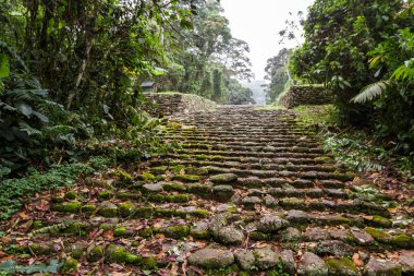 Ruins of an ancient civilization that thrived for over two thousand years in the mountains of Costa Rica, leaving behind stone work showing advanced knowledge in engineering and construction. Site dates back from 1000 BCE. clipart