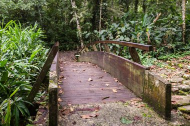 Kartaca Kosta Rika 'nın derinliklerindeki ahşap köprünün ötesine bakın. Etrafı canlı bitkilerle çevrili.