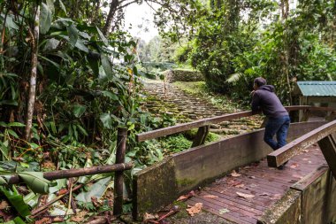Kosta Rika 'nın dağlarında 2000 yıldan fazla yaşamış antik bir medeniyetin kalıntılarına hayran kalan bir adam..