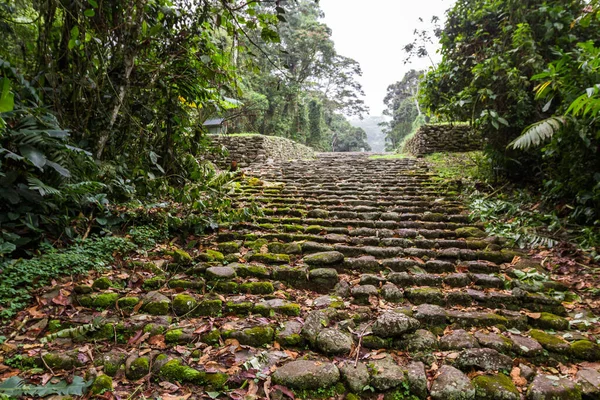 Ruins Ancient Civilization Thrived Two Thousand Years Mountains Costa Rica — Stock Photo, Image