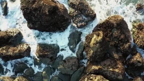 Widok Fal Pacyficznych Uderzających Skały Południowym Wybrzeżu Oregonu — Wideo stockowe