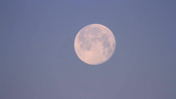 Blick Auf Den Mond Frühen Morgen Bei Klarem Himmel — Stockvideo