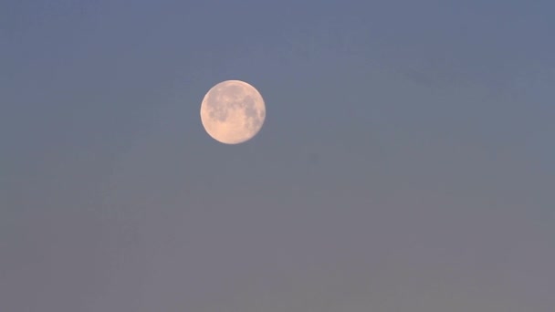 Tôt le matin vue sur la lune sur un ciel dégagé 