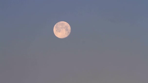 Vista Mattutina Della Luna Cielo Limpido — Video Stock