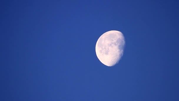 Vista Matutina Luna Cielo Despejado — Vídeos de Stock