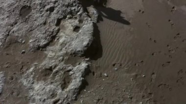 Oregon sahilindeki dalgaların gelgitlerle hareket edişini izleyen bir kadın.