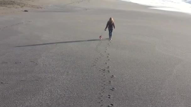波が砂の中を出入りしながら上から見たビーチで犬を歩く — ストック動画
