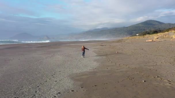 Paseando Perro Playa Visto Desde Arriba Con Las Olas Moviéndose — Vídeo de stock