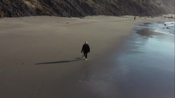 Περπατώντας Σκυλί Στην Παραλία Φαίνεται Από Ψηλά Κύματα Κινούνται Μέσα — Αρχείο Βίντεο
