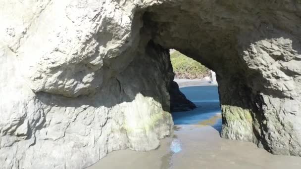 Bandon Oregon Daki Face Rock State Parkı Nda Bir Mağarada — Stok video