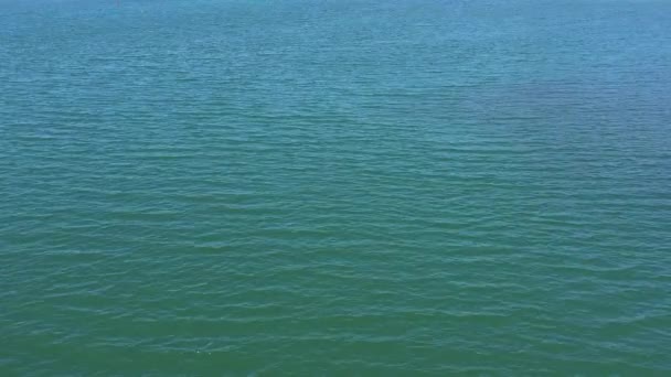 平静的海水 在阳光灿烂的日子里波涛汹涌 呈现碧绿的美丽色彩 — 图库视频影像