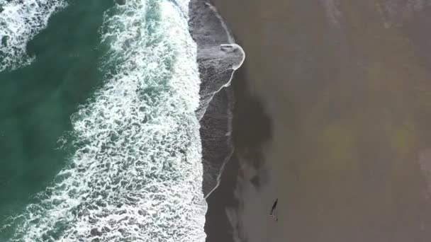 Выгуливание Собаки Пляже Видно Сверху Волнами Движущимися Песка — стоковое видео