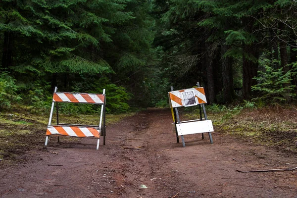 Prospect Oregon Usa Března 2020 Celostátní Uzavření Turistických Stezek Státních — Stock fotografie