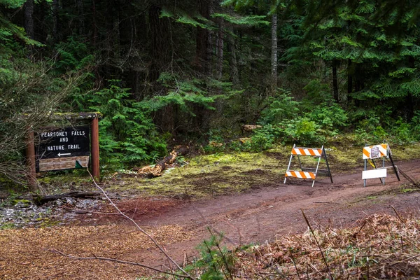 Prospect Oregon Eua Março 2020 Encerramento Estadual Trilhas Para Caminhadas — Fotografia de Stock