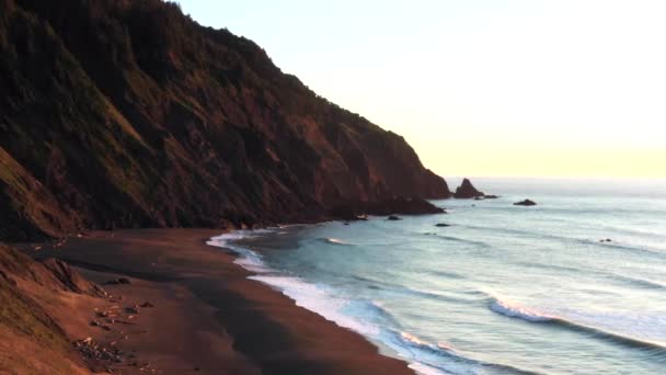 波がサミュエルHボードマン風景回廊の砂と岩の部分を通して彼らの方法を彫ると これまで変化しているリラックスした劇的な海岸の風景を提供する野生のオレゴン海岸 — ストック動画