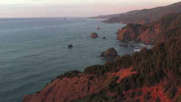 波がサミュエルHボードマン風景回廊の砂と岩の部分を通して彼らの方法を彫ると これまで変化しているリラックスした劇的な海岸の風景を提供する野生のオレゴン海岸 — ストック動画