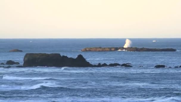 Wild Oregon Coast Offering Relaxin Dramatic Coastal Landscape Thats Ever — стоковое видео