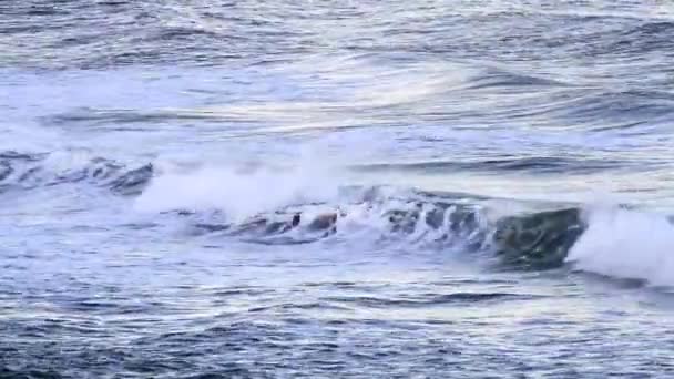 俄勒冈海岸阳光明媚的日子里 平静的海浪进出海滩 — 图库视频影像