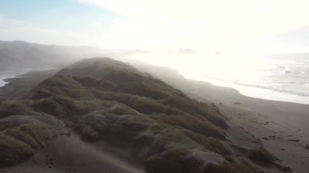 Песчаные Дюны Реки Пистоль Южном Побережье Орегона — стоковое видео