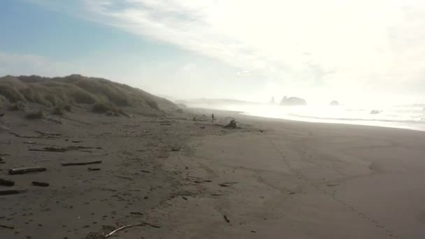 オレゴン州南部海岸のピストル川砂丘で犬を散歩している女性は — ストック動画