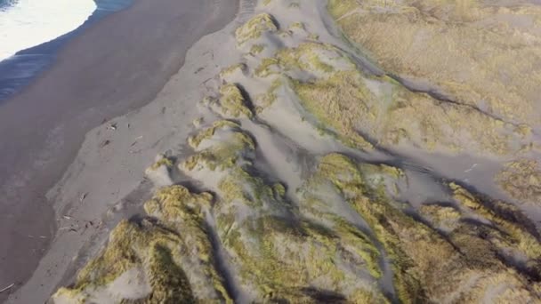 Pistola Dunas Arena Del Río Costa Sur Oregon — Vídeos de Stock