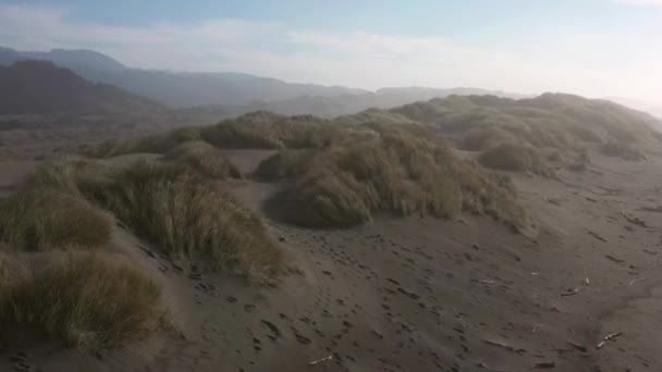Donna Che Porta Spasso Cane Sulle Dune Sabbia Del Fiume — Video Stock