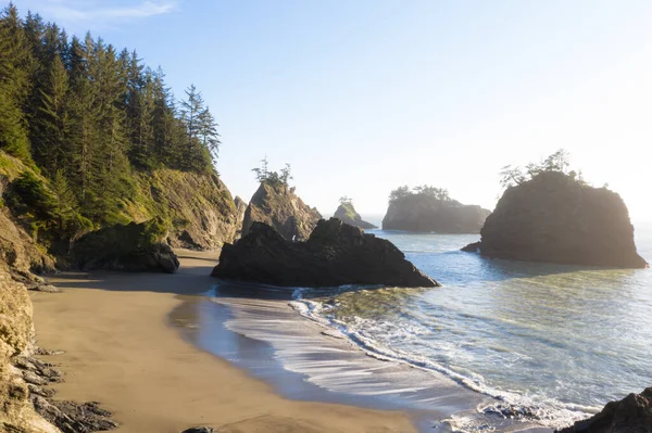 Oregon Sahilinin Güzel Manzarası Adaların Tepesinde Hep Yeşil Ağaçlar Havada — Stok fotoğraf