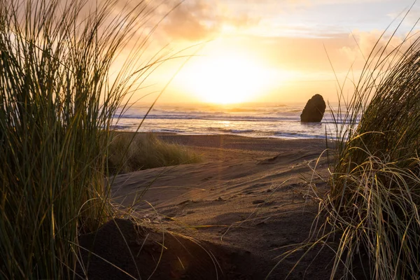 Beautiful and colorful sunset scene thru the tall grass in Gold Beach, Oregon