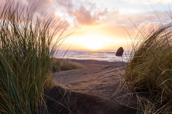 Beautiful and colorful sunset scene thru the tall grass in Gold Beach, Oregon