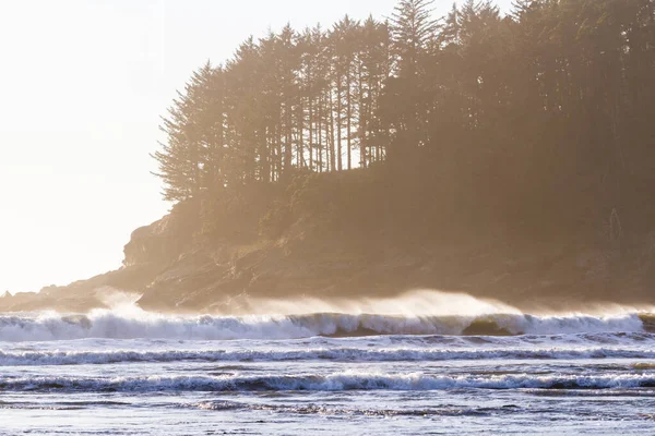 Krásný Výhled Tvar Hunters Cove Jižním Pobřeží Oregonu Rozeklanými Skalami — Stock fotografie