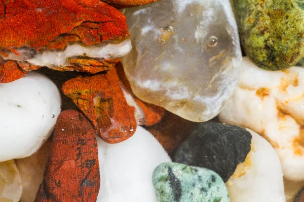 在俄勒冈州海岸发现的许多自然抛光的小石块的近景 这些石头有各种鲜艳的颜色和形状 — 图库照片