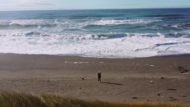 Mujer Paseando Perro Pequeño Hermosa Playa Nesika Costa Sur Oregon — Vídeos de Stock