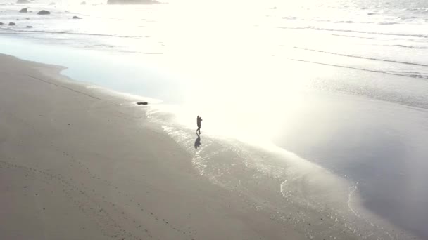 在俄勒冈州南部海岸的海滩上散步 — 图库视频影像