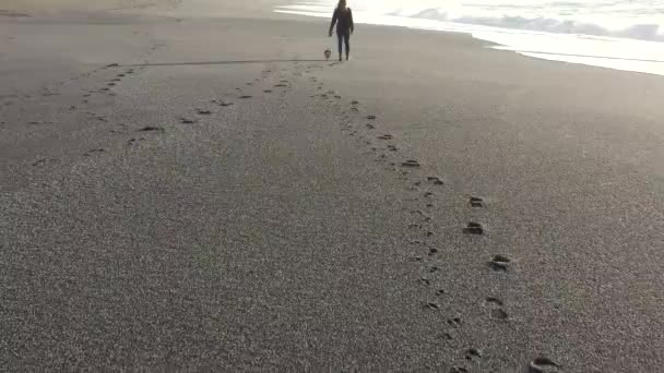 オレゴン州南部の海岸の美しいネシカビーチで小さな犬を歩く女性 — ストック動画